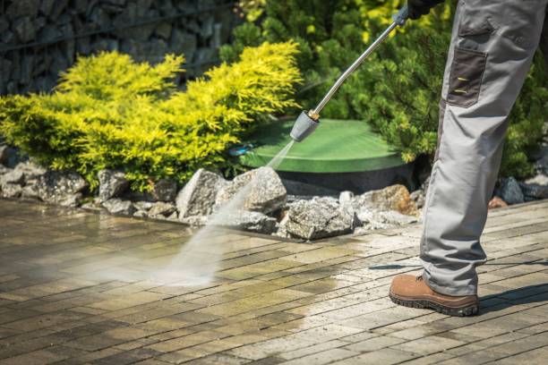 Best Boat and Dock Cleaning  in St Paul, MO