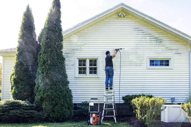 Best Building Exterior Washing  in St Paul, MO